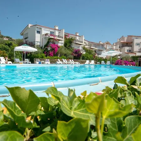 The Olive Terrace * Palase