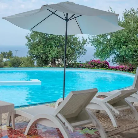 The Olive Terrace Palase
