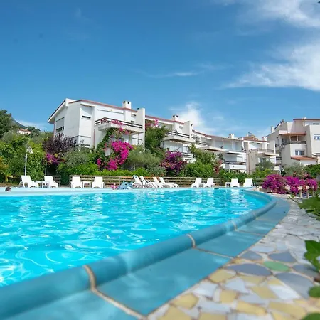 The Olive Terrace Apartment