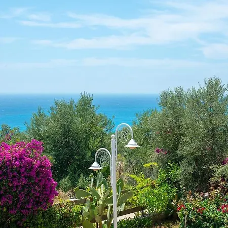 The Olive Terrace