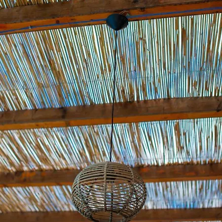 The Olive Terrace