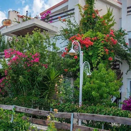 Apartment The Olive Terrace Palase