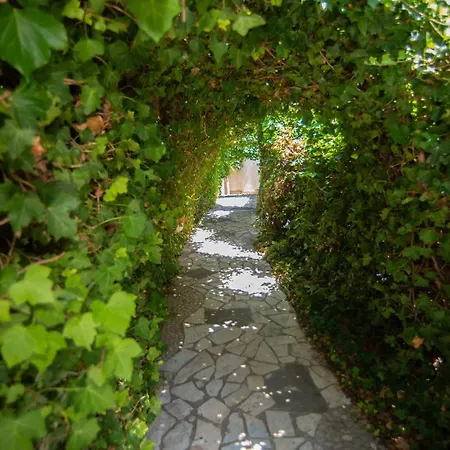 The Olive Terrace * Palase