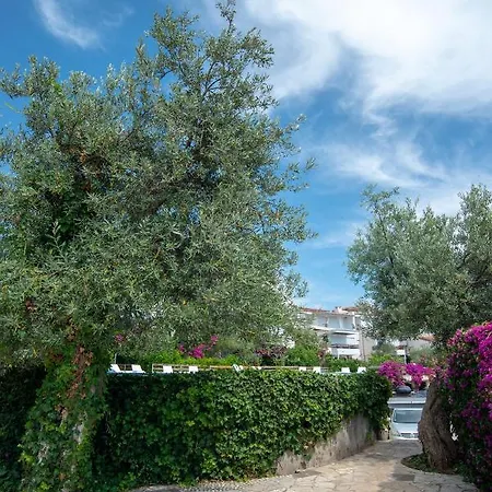 Apartment The Olive Terrace *