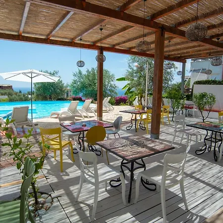 The Olive Terrace *