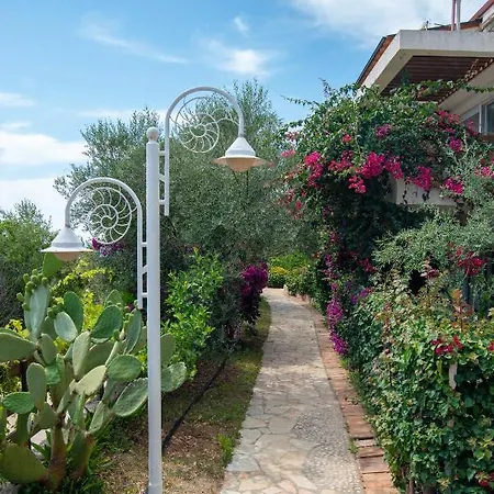 Apartment The Olive Terrace