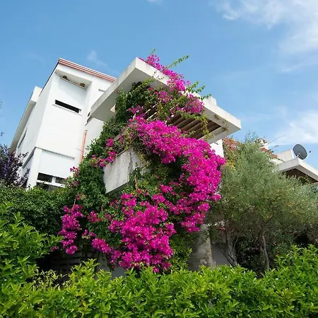 The Olive Terrace Apartment Palase