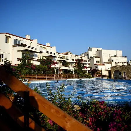 The Olive Terrace Apartment Palase