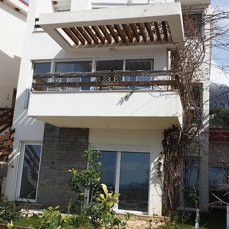 Apartment The Olive Terrace Palase