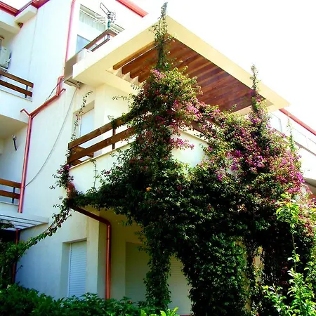 Apartment The Olive Terrace Palase