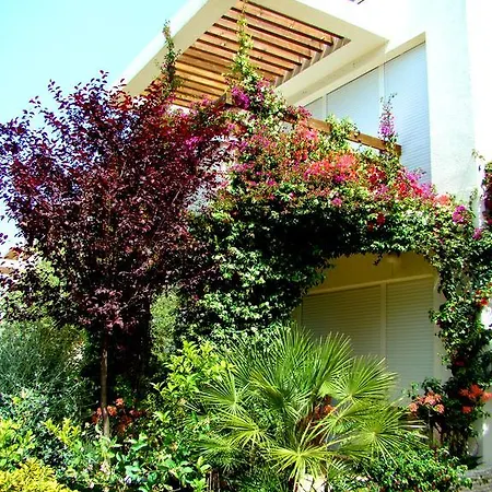 The Olive Terrace Apartment Palase