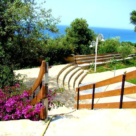 The Olive Terrace Apartment *