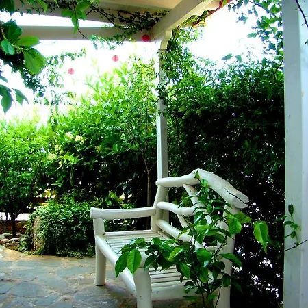 Apartment The Olive Terrace