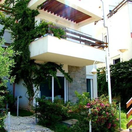 The Olive Terrace Palase