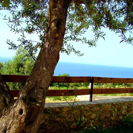 The Olive Terrace * Palase