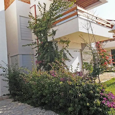 The Olive Terrace Palase