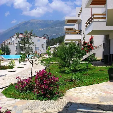 The Olive Terrace * Palase
