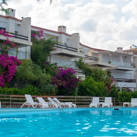 The Olive Terrace *