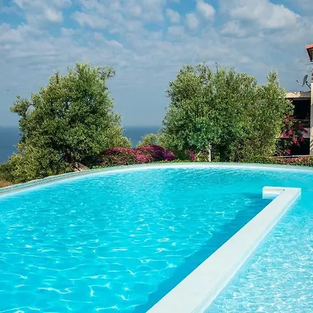 The Olive Terrace *