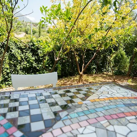 The Olive Terrace * Palase