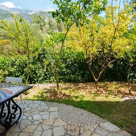 The Olive Terrace Lejlighed