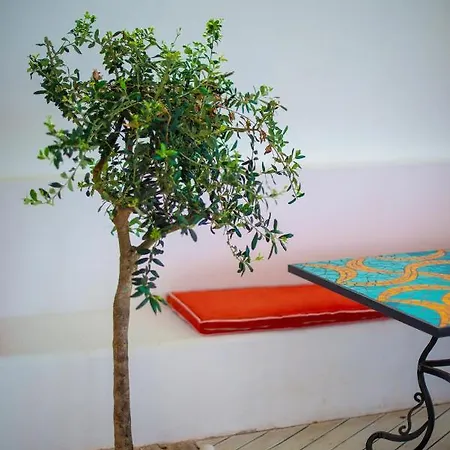 Lejlighed The Olive Terrace *
