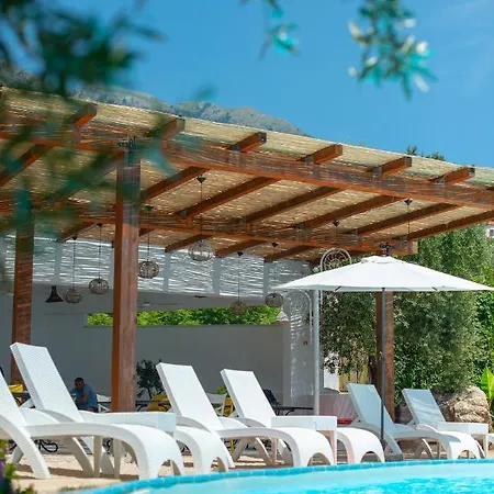 The Olive Terrace Lejlighed *