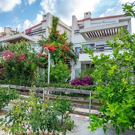 The Olive Terrace *