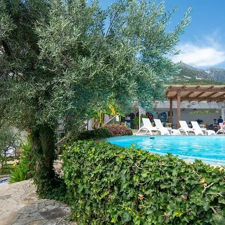 The Olive Terrace Lejlighed *