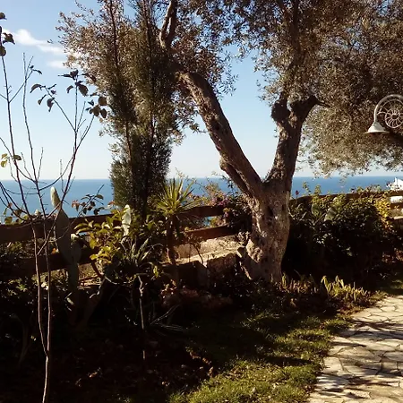 The Olive Terrace Palase