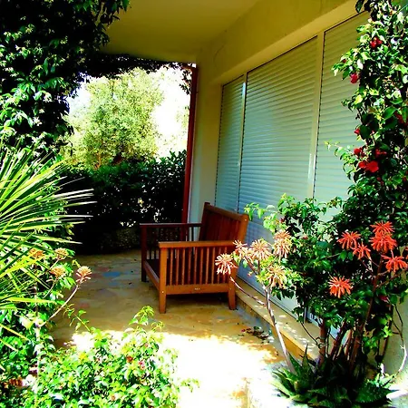 The Olive Terrace Lejlighed *